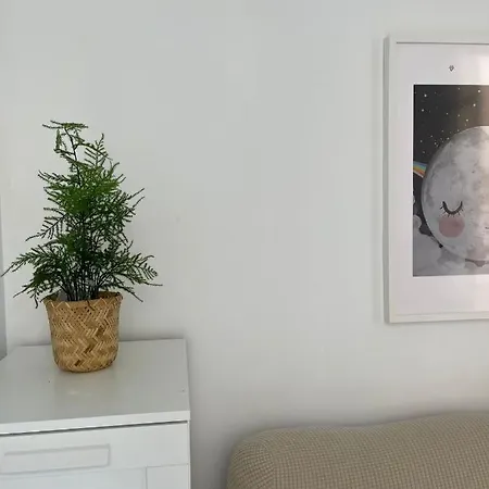 Ancha Del Carmen Lejlighed *